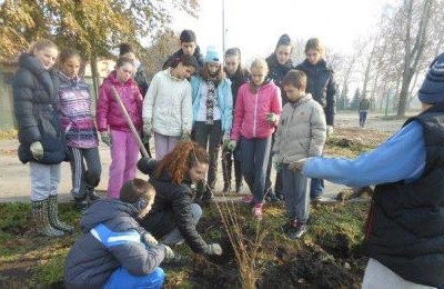 Sunoko sponzorisao akciju sadnje drveća u industrijskoj zoni Vrbasa