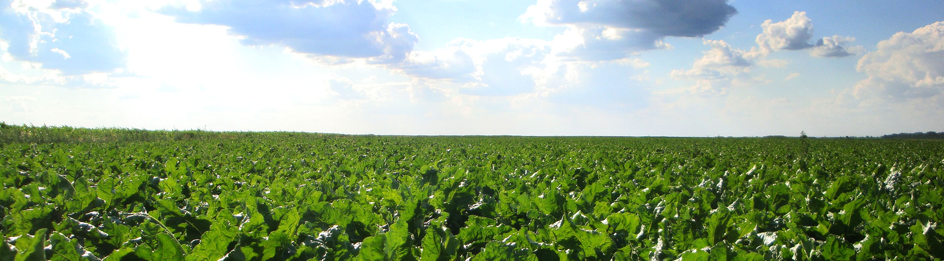 agroservis